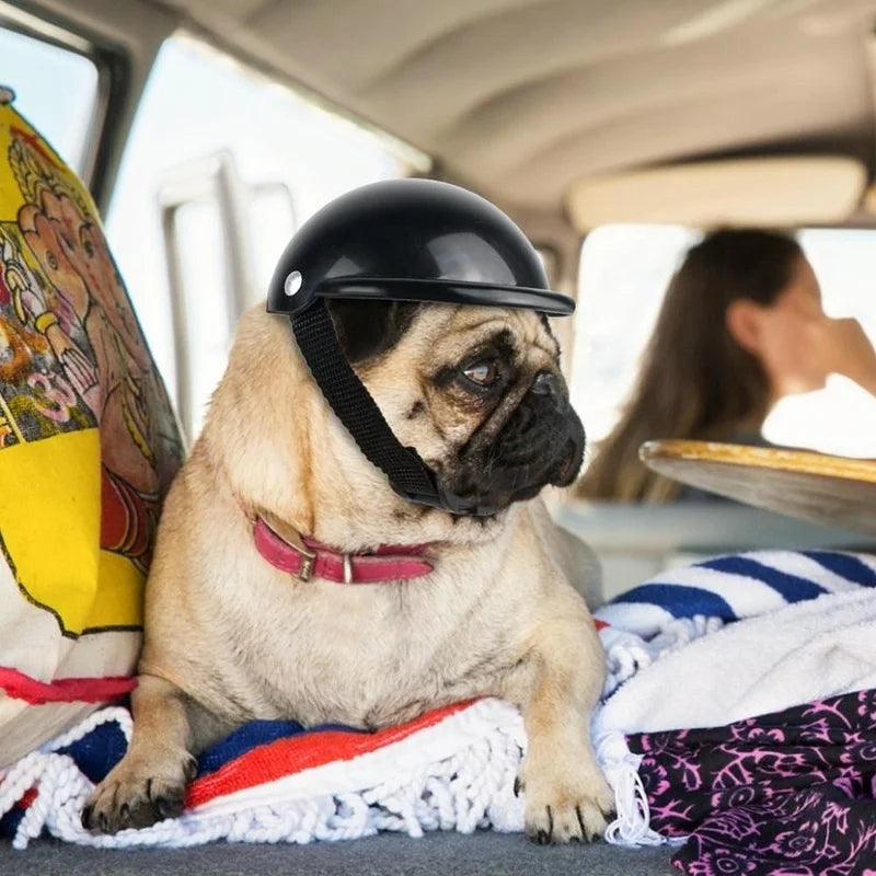 Pet Helmets Dog Cat Bicycle Motorcycle Helmet with Sunglasses 🐕‍🦺🐩
Safety Doggie Hat for Traveling Head Protection Pet Supplies S / M