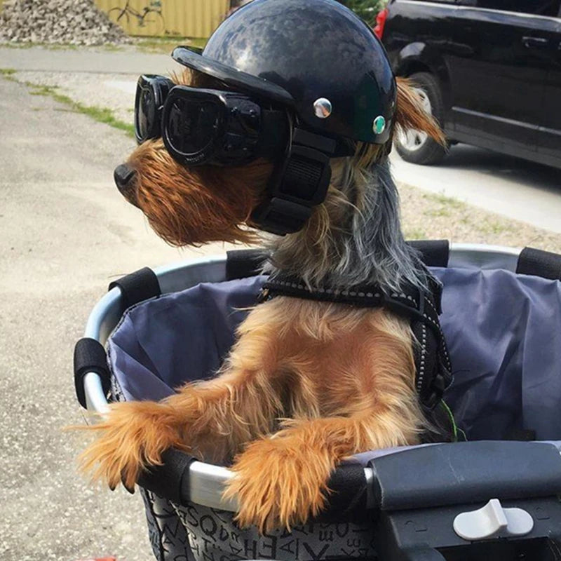 Pet Helmets Dog Cat Bicycle Motorcycle Helmet with Sunglasses 🐕‍🦺🐩
Safety Doggie Hat for Traveling Head Protection Pet Supplies S / M